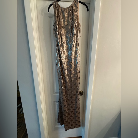 Dress the population Yvette Sleeveless Sequin Long Column Gown - Picture 3 of 4